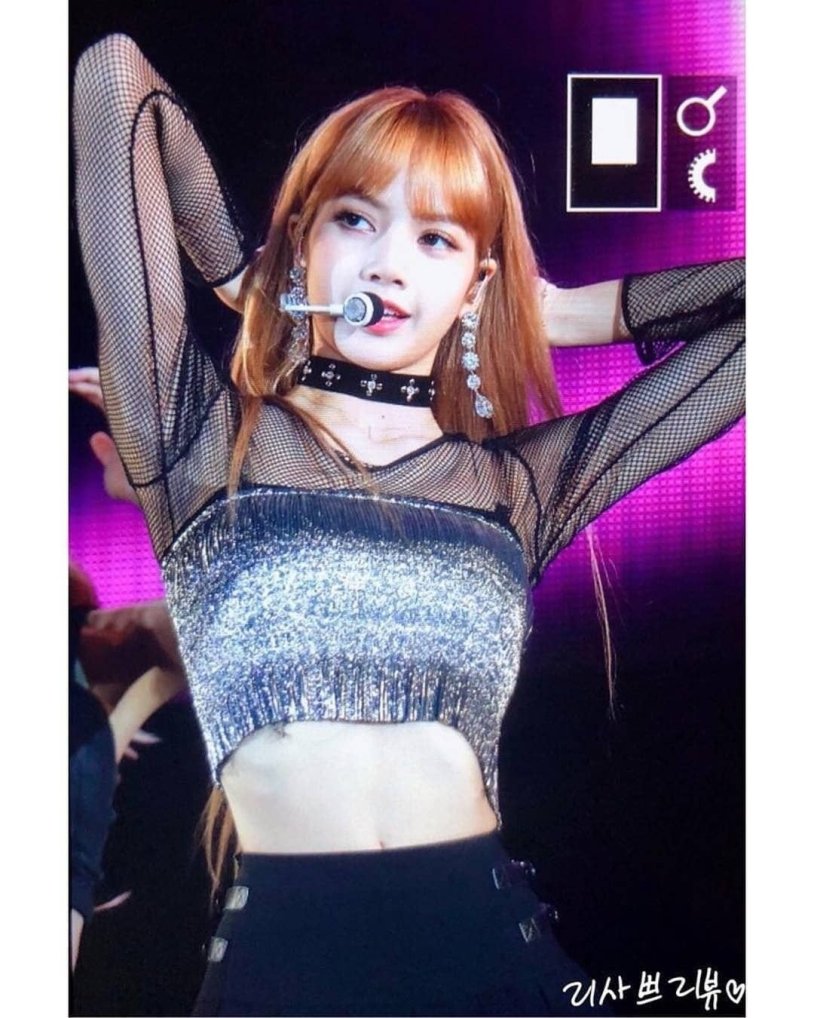 Fox Black Pink Hot