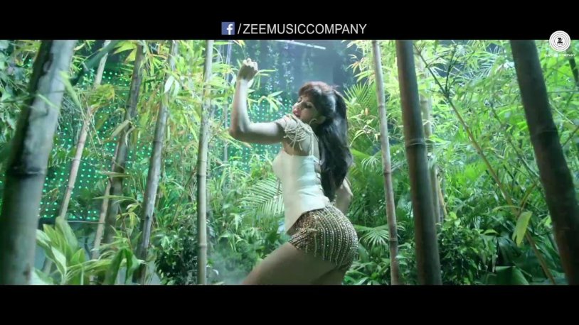 Jacqueline Fernandez Flying Jate