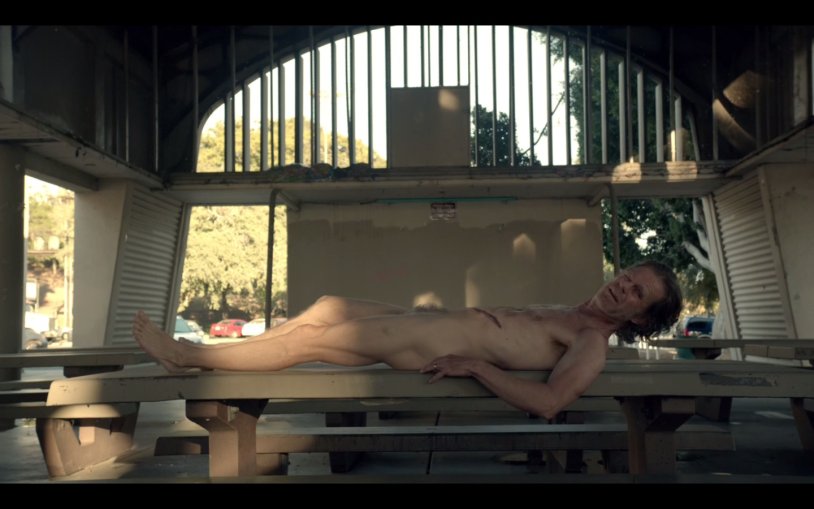 Naked Karl shameless