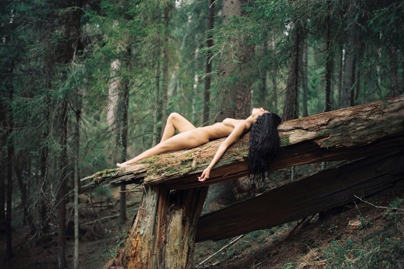 Photoshoots in the forest