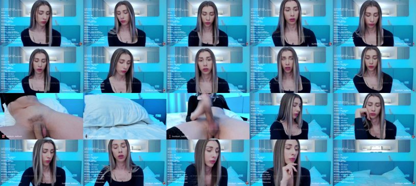 Webcams of the model