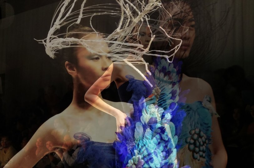 Paradise Birds Paradise Anna