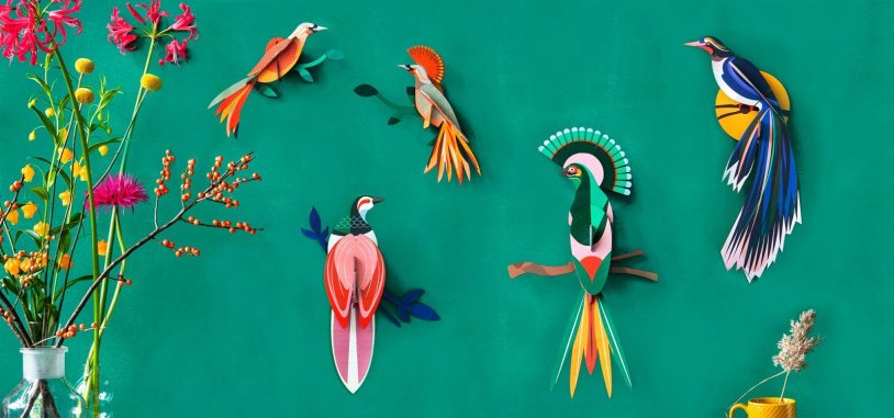 Studio Paradise Birds 2012