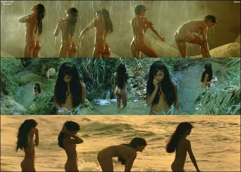 Fibi Catees Paradise