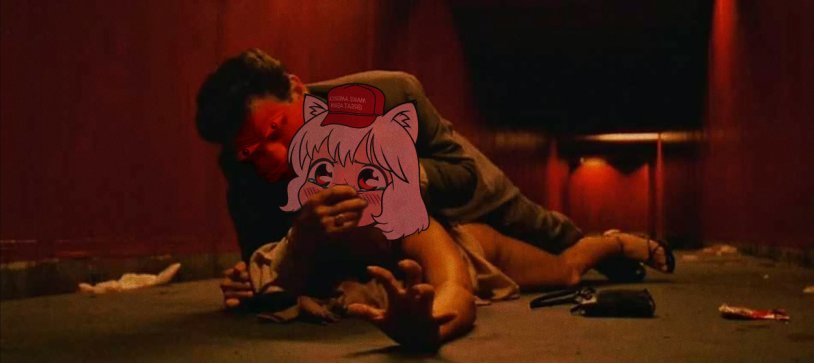 Irreversibility scene with Monika Bellucci