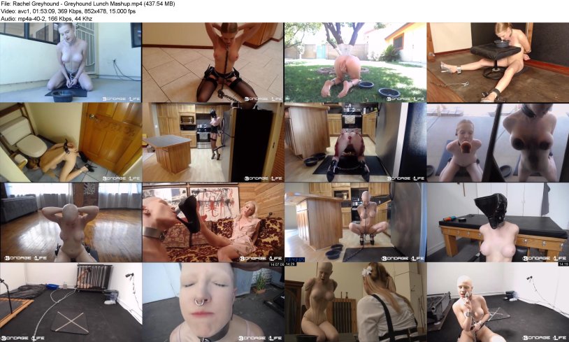 Rachel Greikhand Bondage Life