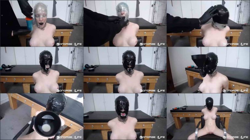 BDSM stretching Rachel Greyhound