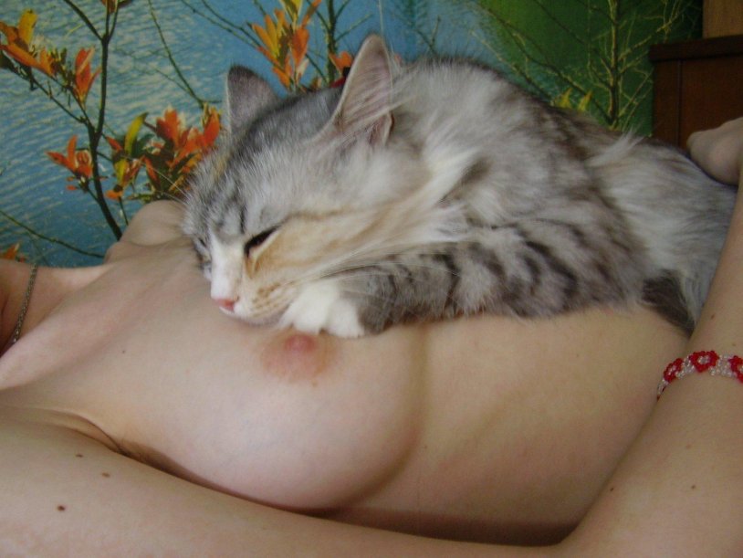 Erotic photo shoot with cats