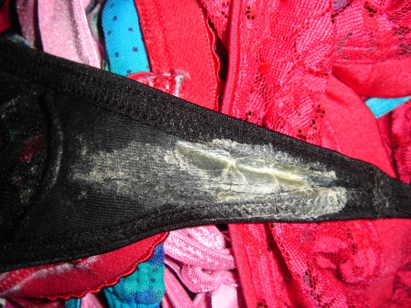 Women Masturbating Sniffing Dirty Panties