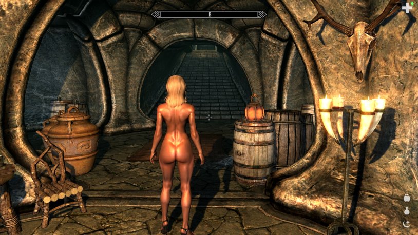 Skyrim naked