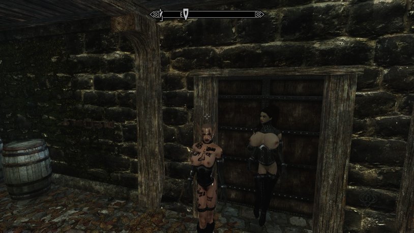 Skyrim screenshots sexlab